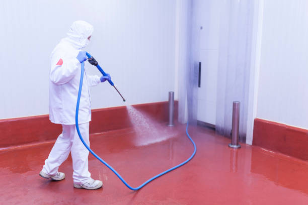 Trusted Delhi, CA Pressure Washing Services Experts